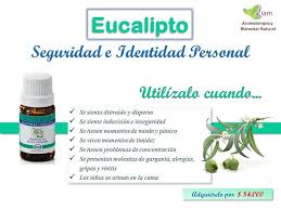 Pin De Maria Delfa Rey En Esencias Aceite Esencial Eucalipto Aceite De Eucalipto Aromaterapia