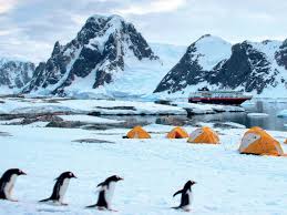 Realestate companies home automoto cryptocurrency economy entertainment fashion food health hitech jobs jokes local politics real estate science sport stocks travel world. Antarctica On The High Seas This Summer Vacation Opt For A Cruise Expedition To Antarctica Basecamp The Economic Times