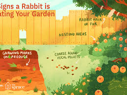 Maybe you would like to learn more about one of these? How To Keep Rabbits Out Of Your Garden