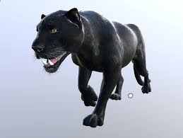 Panther Lowpoly Animation 3d Model In 2020 Digital Art Tutorial Animation 3d Model
