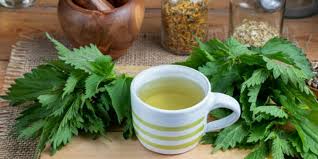 Drinking nettle tea or taking a nettle extract may help treat symptoms of allergic reaction and hay fever. Stinging Nettle Acne Fighter Healer Detoxifier Idara Hampton
