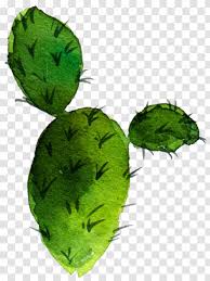 We did not find results for: Cactaceae Barbary Fig Drawing Nopal Succulent Plant Herb Sen Department Aesthetic Cactus Transparent Png