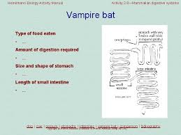 Heinemann Biology Activity Manual Activity 2 8mammalian Digestive