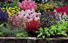We did not find results for: 150 Australian Native Cottage Garden Ideas Cottage Garden Australian Native Plants Plants
