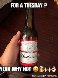 Happy Tuesday Friends Cold Beer Beer Bottle