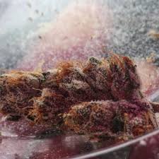 Hat Trick By Oni Seed Co From Seed City