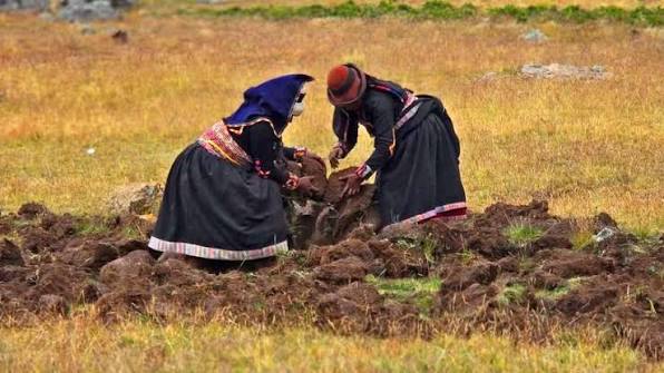 Huatia: el arte ancestral de cocinar bajo tierra | Cocatambo