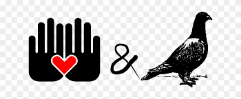 Input Love Pigeons Hd Png Download 800x800 2936250 Pngfind Pigeon images hd download with hindi quotes. pngfind