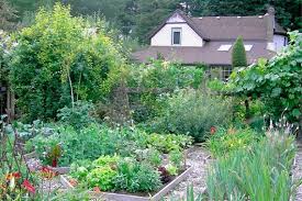8 Cottage Garden Ideas With Uber Curb Appeal French Cottage Garden Cottage Garden English Cottage Garden