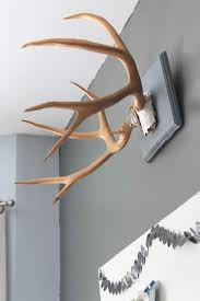 In this video i show you how easy it is to create a nice mount on a plaque (sometimes known as a skull cap mount.) How To Mount Antlers Pretty Handy Girl