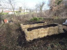 Potager Sur Ballot De Paille Potager Carre Potager Jardinage Urbain