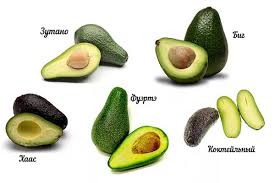 Avocado fruit food green healthy lemon. Bagaimana Memilih Alpukat Di Kedai Dan Bagaimana Ia Kita Menentukan Kematangan Janin Dengan Tanda Tanda Luar