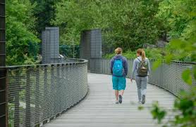 Ein Schoner Tag Auf Der Sambatrasse In Wuppertal