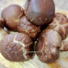 Aneka jamur yang memang layak di konsumsi karena mengandung protein nabati yang tinggi menjadikan komoditas jamur selalu menjadi perburuan. Jenis Jenis Cendawan Yang Boleh Di Makan