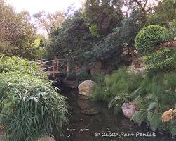 Girlinastate published january 18, 2021 98 views. Winter Stroll At Zilker Botanical Garden Digging