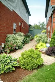 A Shared Backyard Entry Way Made The Best Use Of The Minimal Space Between These Neighbours Planting On Outdoor Landscaping Landscape Services Backyard Plants