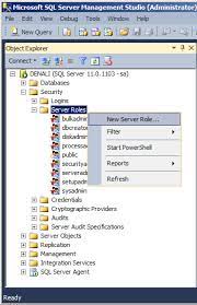 Get the request session id by executing following sql. Creating A Sql Server 2012 User Defined Server Level Role