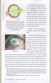 1821 1 Tarix Tibbi Qonushdurdu 1 Suiqesdler Sir Olumler Esrarengiz Olaylar Talha Ughurluel Muammer Q Vebuka Com