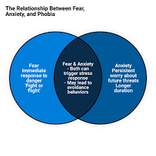 Understanding Fear and Anxiety: A Quick Start Guide