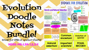 Biology Evolution Graphic Notes Bundle Inb Or Mini Anchor