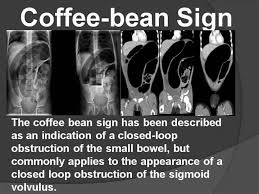 Pin By G N On Anatomy Radiology Imaging Radiology Medical Education