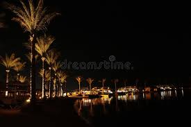 Beautiful 120 fps slow motion shot of leafs and trees blowing in the wind nature atmospheric contemplative shot. Night Panorama With View Of Illuminated Palm Trees On Seacoast Of Hurghada Tropical Resort Stock Photo Image Of Holiday Night 129059204