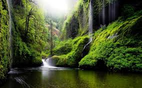 A background image can be specified for almost any html element. Wallpaper Oregon River Water Waterfalls Nature Forest Woods Green Scenic Hd Widescreen High Definition Fullscreen