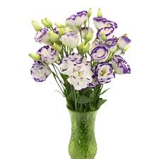 Image result for eustoma lisianthus in vase