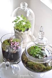 Easter Terrariums Pink Pistachio Easter Terrarium Terrarium Garden Terrarium