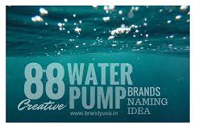 Also, both are from shurflo, one of the top names in the rv world for its dedication and consistency in offering top products for the rving community. 101 Best Water Pump Company Names Idea Brandyuva In