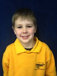 Week 9 Term 3 2017 newsletter