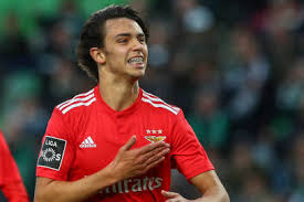 Atletico madrid's believes his brother hugo at benfica is better than he was at the same age. Rising Star Joao Felix Bleacher Report Latest News Videos And Highlights