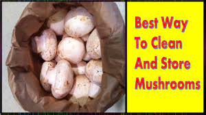 May 11, 2021 · two rules for fresh mushrooms the first rule in proper mushroom care is to allow them to breathe. How To Store Mushrooms At Home For Optimal Freshness Youtube