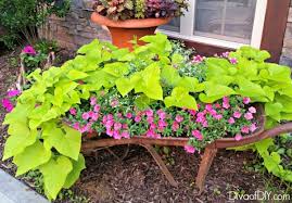 Some formal gardens are lacking in flowers, but a flowering plant with a mounding habit such as lavender is perfectly suitable in a formal landscape. Unique Flower Planter Ideas For Flowers And Succulents Diva Of Diy