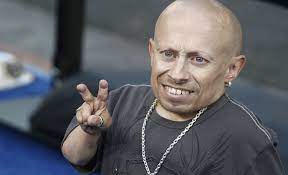 In the united states, it broke the opening weekend record for a spoof movie, surpassing the previous austin powers film. Verne Troyer Actor Who Portrayed Mini Me In Austin Powers Dies At 49 Npr