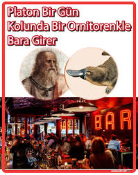 Selahattin Toy Adli Kullanicinin Infografik Panosundaki Pin