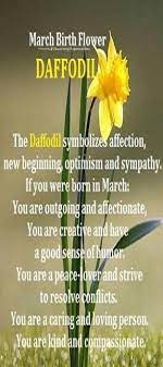 Maybe you would like to learn more about one of these? Daffodils March Flowers March Birth Flowers Birth Flowers Birthday Month Flowers