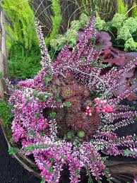 Allerheiligen Ausstellung Und Verkauf Garten Prentl Allerheiligen Ausstellung Garten