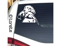 Image result for německý ohař dlouhosrstý