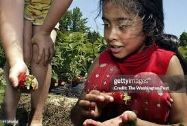 1,534 Mark Acres Stock Photos, High-Res Pictures, and Images