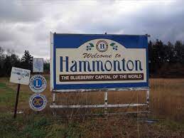 Blueberry council, produces an average of about 73 million kilograms of blueberries each year. The Blueberry Capital Of The World Eastbound Hammonton Nj Welcome Signs On Waymarking Com