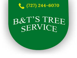 From our initial conversation to the completion of your job, we always aim to maintain open communication & upfront pricing with our. Tree Removal Pinellas Fl Tree Trimming B T S Tree Service