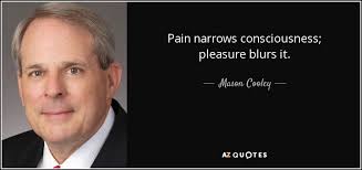 Mason Cooley quote: Pain narrows consciousness; pleasure blurs it.