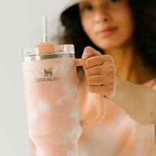 Stanley just dropped two new tumbler colours, and we're obsessed