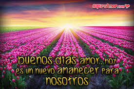 Https Encrypted Tbn0 Gstatic Com Images Q Tbn And9gcqmgv5xpxfu0mg0n3jntrh Iv5zfbgg7owgtq Usqp Cau