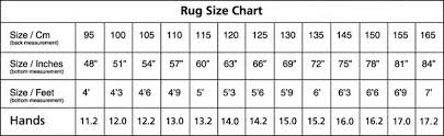 Turfmasters Light Turnout Rug