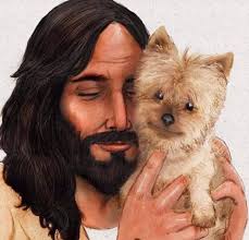 Men keep showing up as dogs in my life