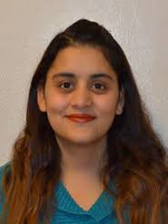 New Invasive Ant Found in Indiana