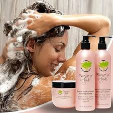 Amazon.com: Essence of Argan Productos renovadores para el cuidado del  cabello infundidos con aceite de argán orgánico marroquí 100% puro, da  volumen, nutre tu cabello, todo tipo de cabello (juego de champú, :