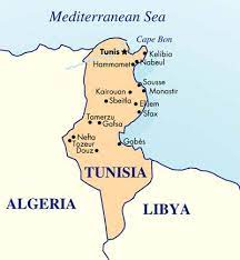 La tunisie se découvre idéalement du printemps à l'automne. Climat Tunisie Temperatures Precipitations Quand Partir Que Mettre Dans La Valise